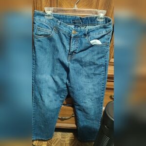 Bandolino Blu Mandie Straight Leg Women Size 12p Dark Wash Blue Jean